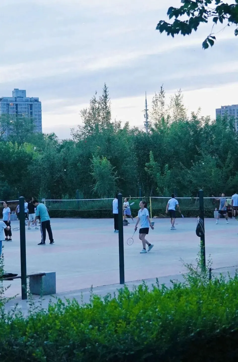 儿童篮球训练计划安排表_0