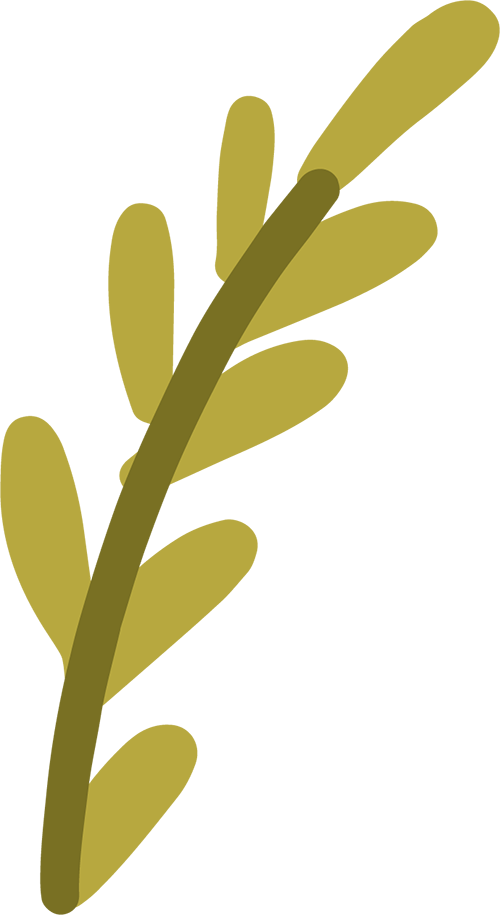 _0